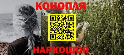мяу мяу мука Тула