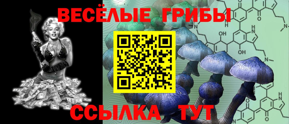 Галлюциногенные грибы Psilocybe  Вход с VPN  Канаш  Псилоцибиновые грибы ЛСД 
